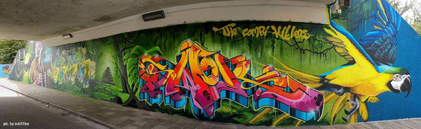 Combolution - Street Art Festival Ede 2017